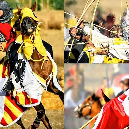 Alma House 招待所 Sanluri